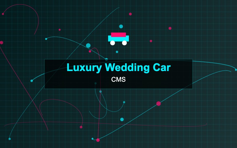 Luxury Wedding Car